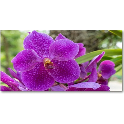 Foto obraz sklenený horizontálny orchidea 100x50 cm