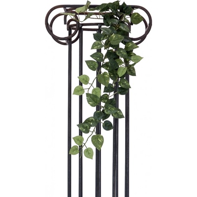 Pothos trs střední, 70 cm