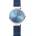 Bering 10X31-Anniversary2