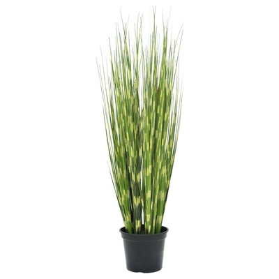 Zebrovaná tráva, 90cm