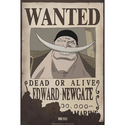GB eye Мини плакат GB eye Animation: One Piece - Wanted Whitebeard (ABYDCO370)