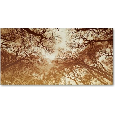 Moderný foto obraz na stenu les 100x50 cm
