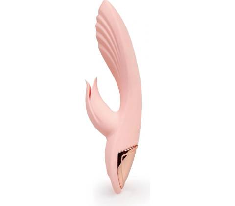 Lady Dreams Tulipos