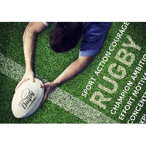 Bluebird Puzzle - Puzzle Rugby Touch - 500 piese