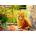 Enjoy - Puzzle Country Kitchen Kitty - 1 000 piese
