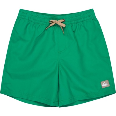 Quiksilver Детски бански слипове Quiksilver Kid's Everyday Solid Volley 14'' Swim brief - Leprechaun - размер 170/176 (EU) (750-3064-0215)
