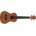 Prodipe Guitars BC210 EQ