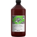Davines NATURALTECH Renewing šampon proti stárnutí vlasů 250 ml