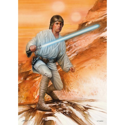 Schmidt Star Wars: Fearless 1000 dílků