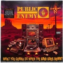 Public Enemy - What You Gonna Do When The Grid Goes Down LP