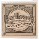 Ernie Ball 2070