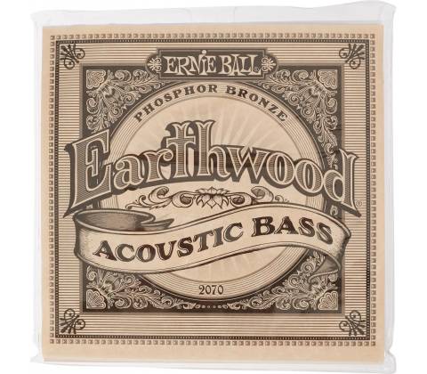 Ernie Ball 2070