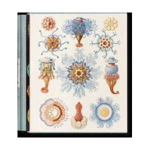 The Art and Science of Ernst Haeckel (ISBN: 9783754406106)