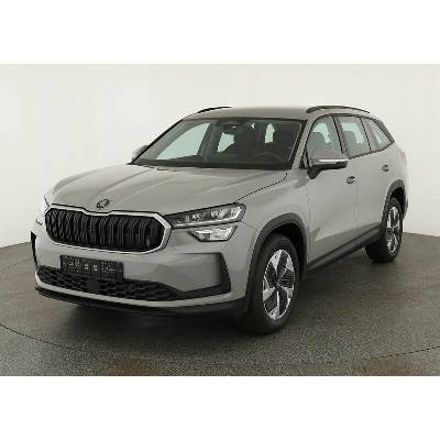 Skoda Kodiaq 2.0 TDI DSG Selection 110 kW
