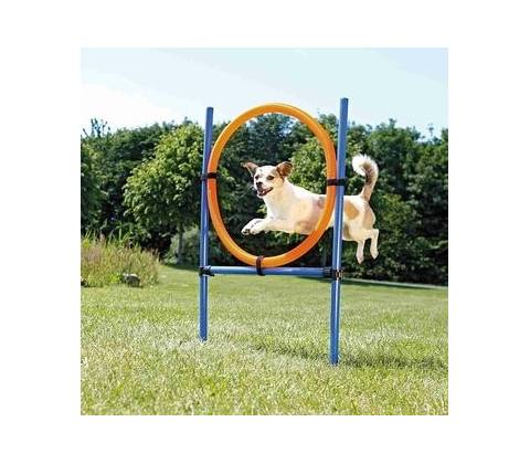 AGILITY kruh preskakovací
