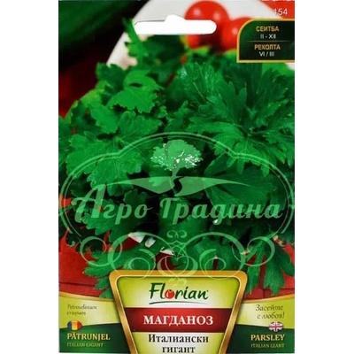 Флориан Магданоз Италиански гигант