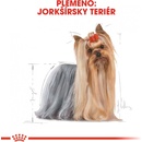Kapsičky pre psov Royal Canin Adult Yorkshire Terrier 12 x 85 g