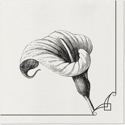 PAW Airlaid AAN125000 Memory Flower servítka 40x40cm