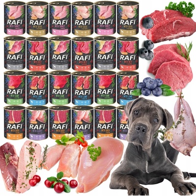 Dolina Noteci Rafi mix príchutí 24 x 400 g