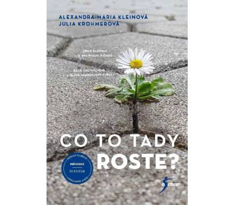 Co to tady roste?