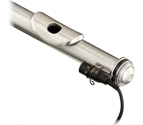 Audix ADX 10FL