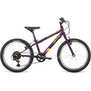 Dema Roxie 2022
