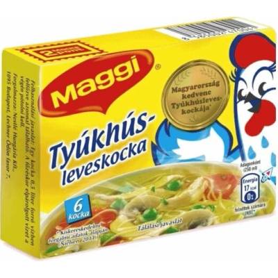 Maggi Slepačí bujón 20 x 66 g