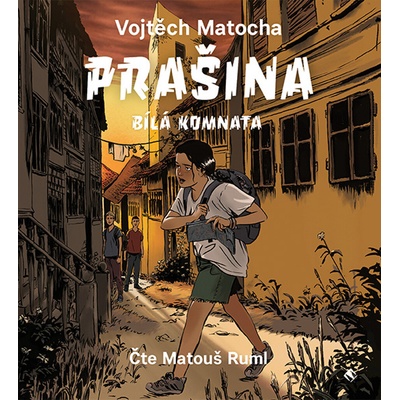 Prašina