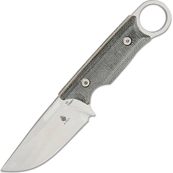 Kizer Cabox D2
