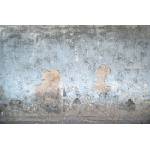 DIMEX ART Флизелинов фототапет стара паднала мазилка 375 x 250 см
