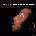 Muddy Waters - The Best Of Muddy Waters (Limited Edition) (Crystal Clear Coloured) (180g) (LP) (8435723701811)