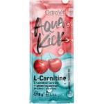 OstroVit Aqua Kick / Advanced Hydration with L-Carnitine & Green Tea [10 грама] Череша