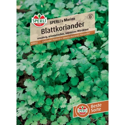 Sperli listový koriandr "Sperli s Marino" (Coriandrum sativum)