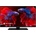 GoGEN TVF 22P406S