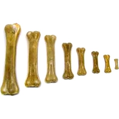 Salač Kost přírodní 10 cm 10 ks