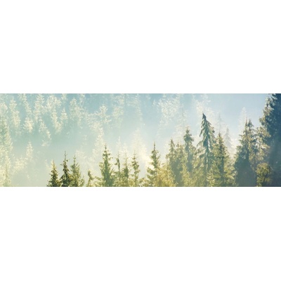 Dimex KI180-141 Fototapeta do kuchyně Woods rozměry 180 x 60 cm
