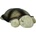 CloudB Plus Cloud B Twilight Turtle Classic Mocha (cb7323-zz)