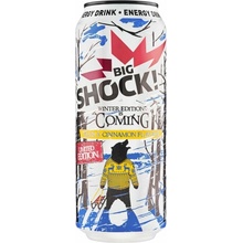 Shock Winter Plum Cinnamon 0,5l