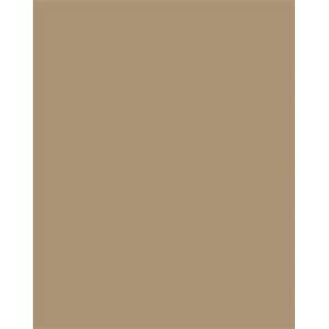 FOLIA Декоративен картон, двустранен, 50x70cm, 220 g, 10 листа, FOLIA, еленско кафяво 61221075 (6122/10 75)