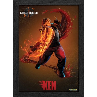 Pixel Frames PLAX Street Fighter 6: Ken 25x30