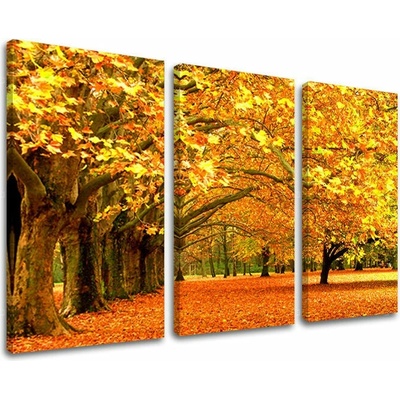 Obraz na stenu STROMY - 90x60 cm