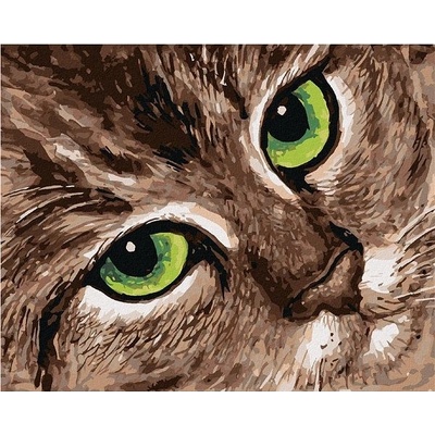zuty Malování podle číselKočka a zelené oči 80 x 100 cm bez rámu a bez vypnutí plátna