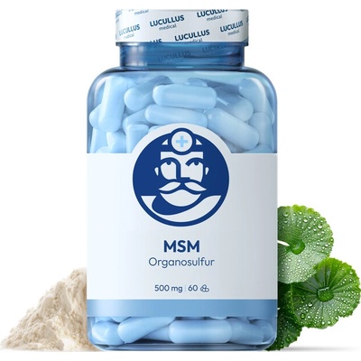 Dr. Lucullus MSM 60 kapsúl