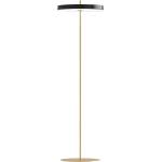UMAGE Asteria 2340