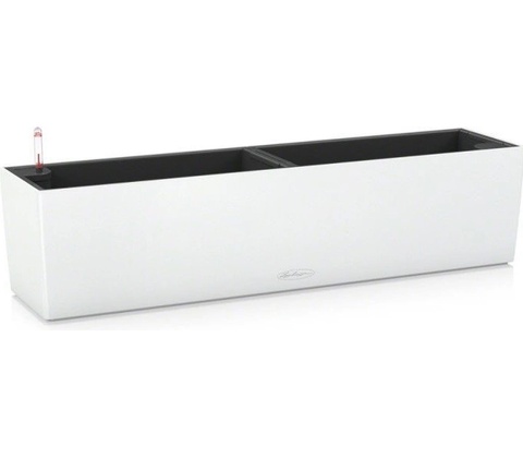 Lechuza 15680