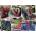 Ravensburger - Puzzle NYC flash of flowers - 1 000 piese
