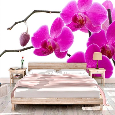 Sablio Tapeta Fialové Orchideae, rozmery 336x220 cm