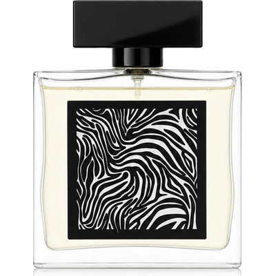 Fragrance World Encrypt parfumovaná voda pánska 85 ml