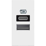 BTicino Розетка 2xUSB за зареждане тип A+C 3A 15W 1 мод. цвят Бял /блистер/ Classia - RW4191AC (RW4191AC)