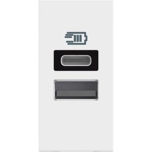BTicino Розетка 2xUSB за зареждане тип A+C 3A 15W 1 мод. цвят Бял /блистер/ Classia - RW4191AC (RW4191AC)